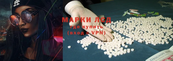 ГАЛЛЮЦИНОГЕННЫЕ ГРИБЫ Новозыбков