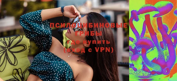 ГАЛЛЮЦИНОГЕННЫЕ ГРИБЫ Новозыбков