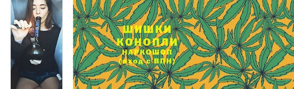 ГАЛЛЮЦИНОГЕННЫЕ ГРИБЫ Новозыбков