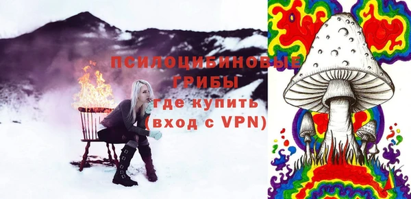 ГАЛЛЮЦИНОГЕННЫЕ ГРИБЫ Новозыбков