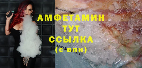 ГАЛЛЮЦИНОГЕННЫЕ ГРИБЫ Новозыбков