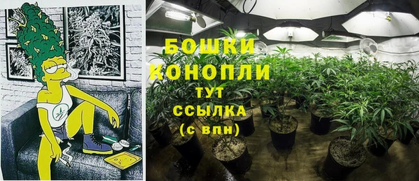 МДПВ Новокубанск
