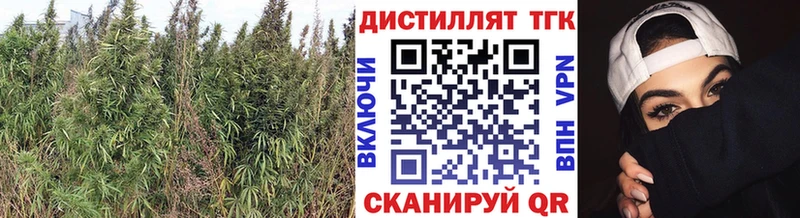 маркетплейс какой сайт  Северская  Дистиллят ТГК жижа 
