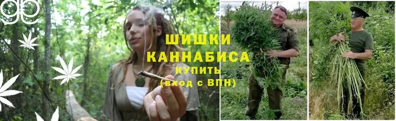 дарнет шоп  Северская  Шишки марихуана White Widow 